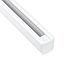 Carril trifásico aluminio TREND superficie para focos LED 1 metro blanco